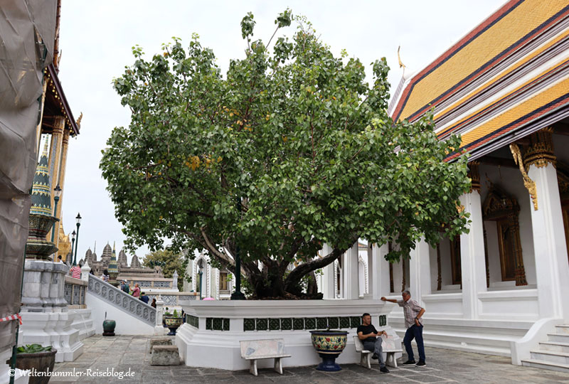 bangkok_goldenesdreieck_phuket - Thailand Bangkok Koenigspalast 3