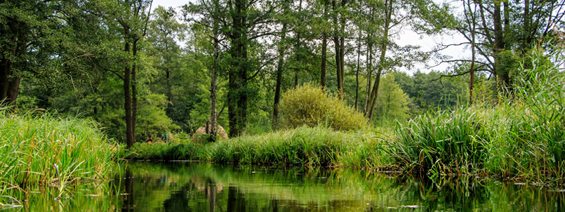 europa - Deutschland_NaturParks.jpg