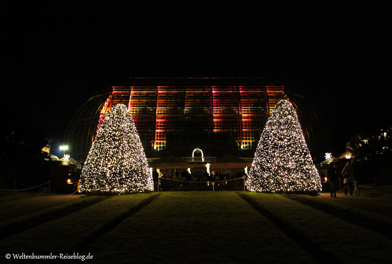 berlin - Berlin-ChristmasGarden-Tropenhaus-2.jpg