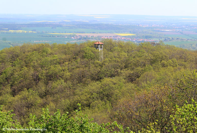 harz - Harz-Thale-Homburgswarte-1.jpg