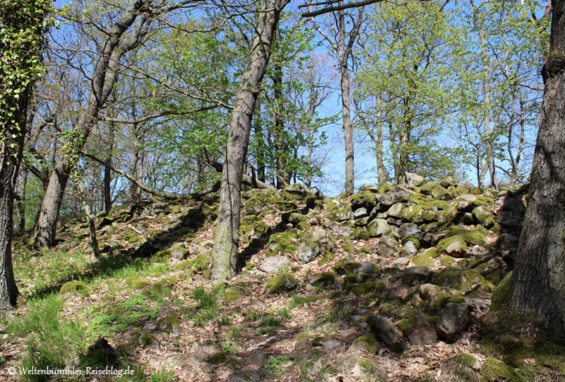 harz - Harz-Thale-Sachsenwall-1.jpg