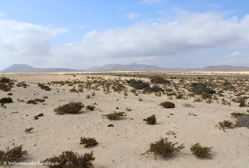 AIDA_Kanaren - AIDA-Kanaren-Fuerteventura-Dünen-3.jpg