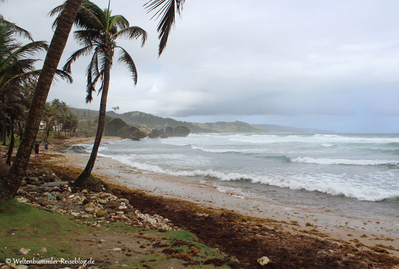 AIDA_Karibik - AIDA Karibik Barbados Bathsheba 1