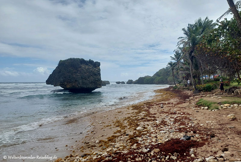 AIDA_Karibik - AIDA Karibik Barbados Bathsheba 2