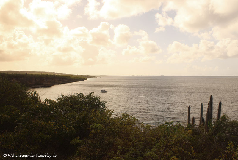 AIDA_Karibik - AIDA Karibik Bonaire 1000Steps 1