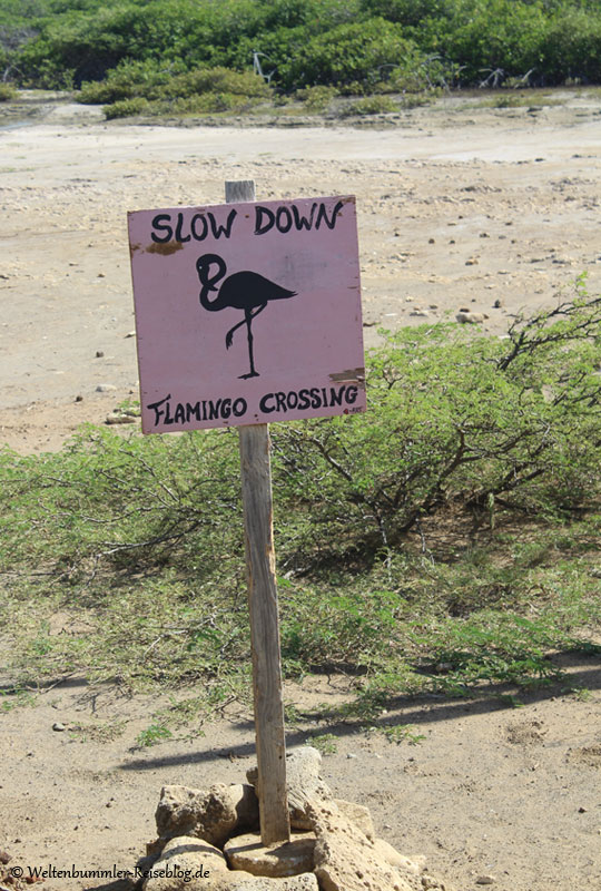 AIDA_Karibik - AIDA Karibik Bonaire Flamingos Crossing