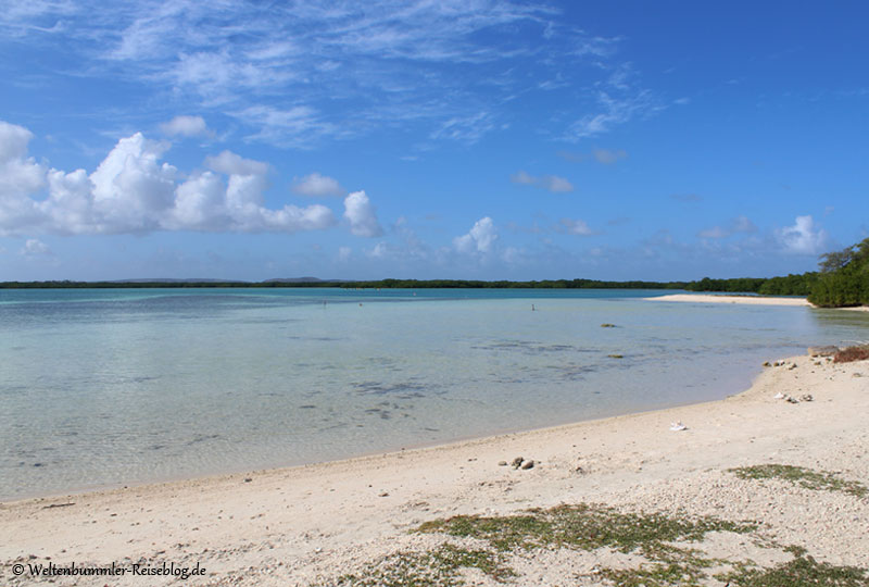 AIDA_Karibik - AIDA Karibik Bonaire LacCai 1