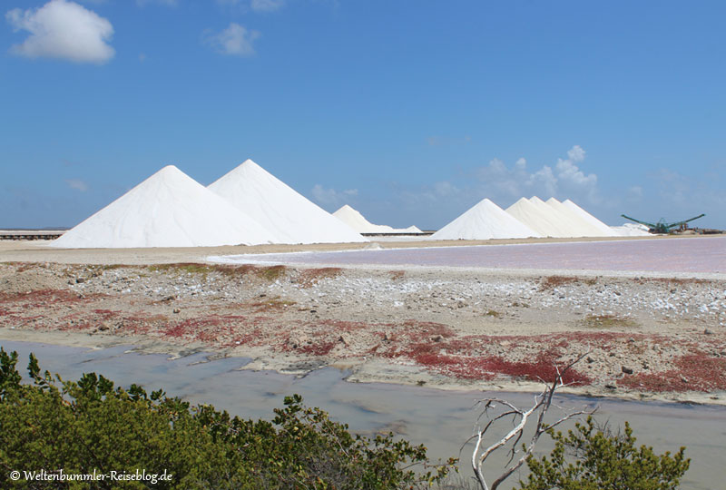 AIDA_Karibik - AIDA Karibik Bonaire Salzfelder 1