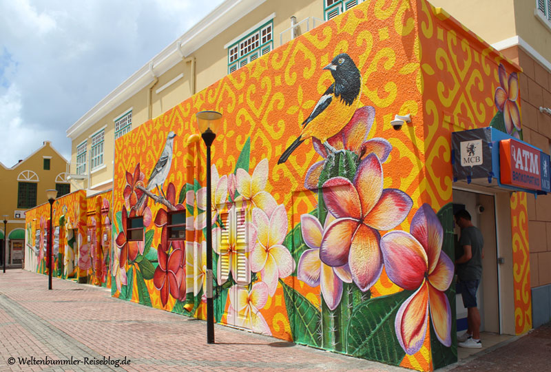 AIDA_Karibik - AIDA Karibik Curacao Willemstad StreetArt 1