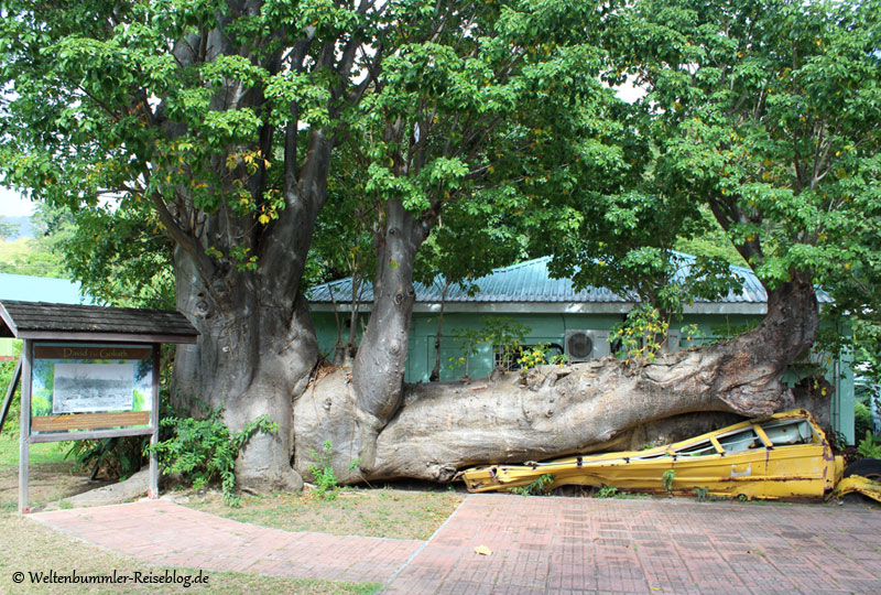 AIDA_Karibik - AIDA-Karibik-Dominica-BotanischerGarten-5