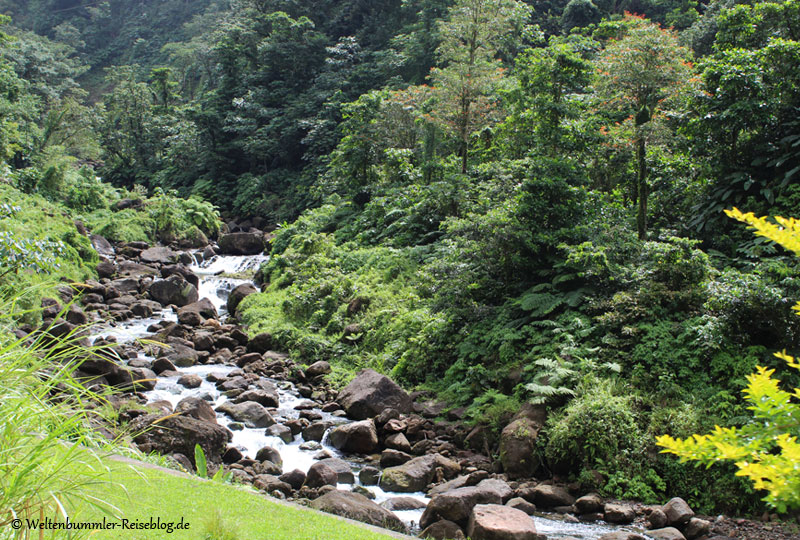 AIDA_Karibik - AIDA-Karibik-Dominica-Landschaft-2