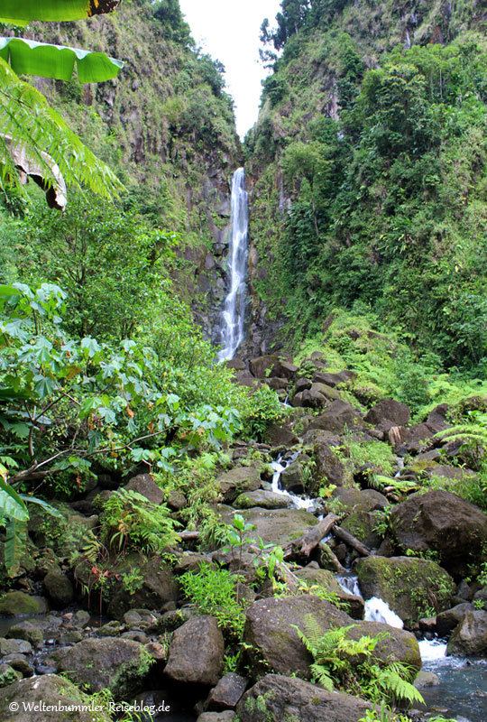 AIDA_Karibik - AIDA-Karibik-Dominica-TrafalgarFalls-1