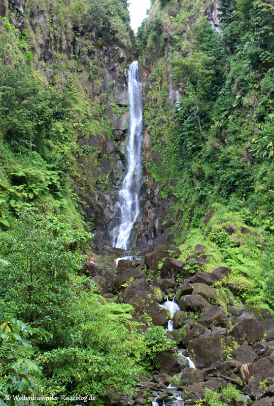 AIDA_Karibik - AIDA-Karibik-Dominica-TrafalgarFalls-2