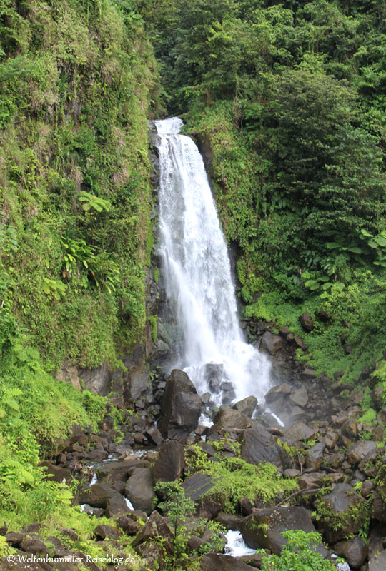 AIDA_Karibik - AIDA-Karibik-Dominica-TrafalgarFalls-3