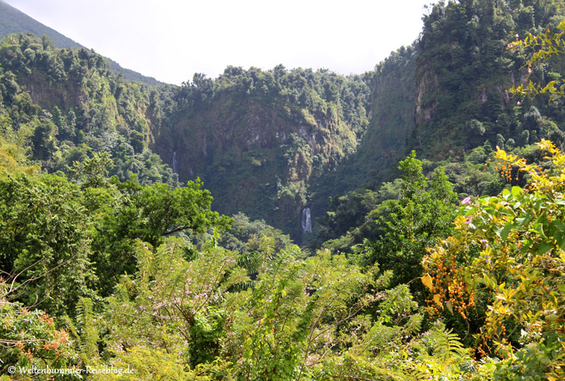 AIDA_Karibik - AIDA-Karibik-Dominica-TrafalgarFalls-Fernansicht