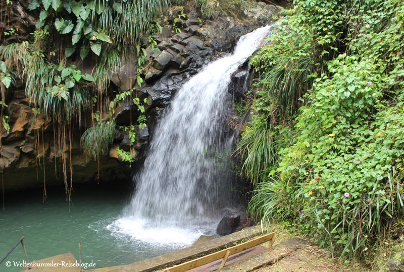 AIDA_Karibik - AIDA Karibik Grenada AnnandaleWasserfall 1