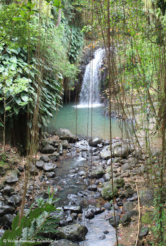 AIDA_Karibik - AIDA Karibik Grenada AnnandaleWasserfall 3